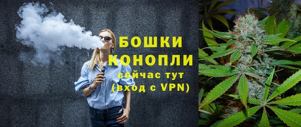 меф Арсеньев
