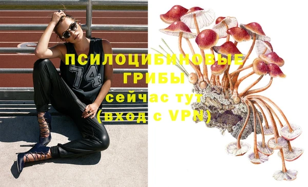 а пвп мука Аркадак