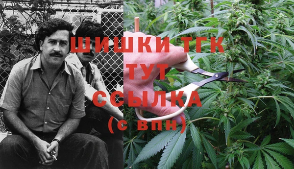 меф Арсеньев