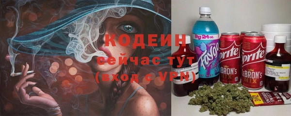меф Арсеньев